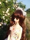 DOLL