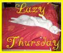 Thursday Cat- Lazy Thursday
