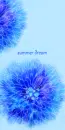SUMMER DREAM