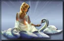 SWANS