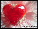 love you always