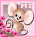 Hi