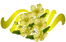 Yellow flowers