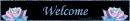 My rose network banner
