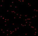 glitter red