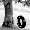 Tire Swing