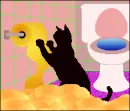 toilet paper and cats don't mix