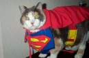 super kat