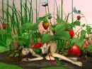 Strawberry Maiden