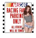 Nascar Fan