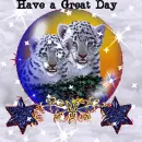 two tigers
