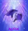 alicia dolphin