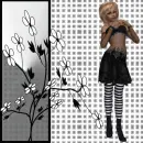 Black/White