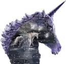 Sparkled Unicorn
