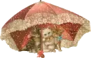 Cats with Umbrella
