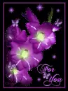 for you purple flower