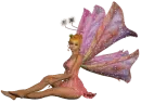 Sparkled Fairy Rainbow