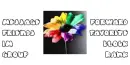 Colorful Flower Contact Table