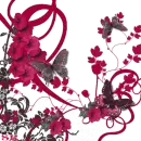 Pink Swirly