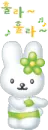 SUMMER BUNNY