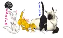 Naruto Cats : Team 7