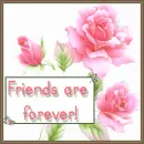 Friends Forever