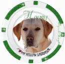 green yellow labrador poker chip honey