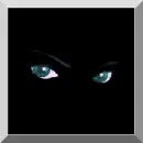 CAT EYES