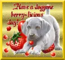 DOGGY