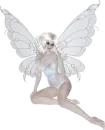 Fairy 