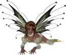 Fairy 