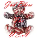 God Bless The USA