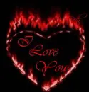 i love you