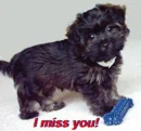 I miss You!