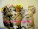 Together