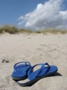 Flip Flop Beach