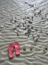 FlipFlops Footprints