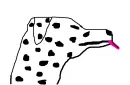 naughty dalmation!