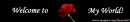 Welcome Rose