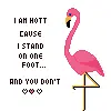 hott