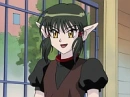 kishu