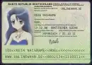 Noel's ID Card
