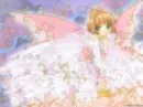 sakura...