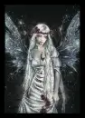 fairy