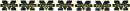 Michigan Wolverines