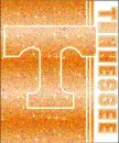 University Tennessee Volunteers