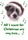 all i want for xmas is...