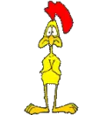 Dancing Chicken