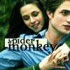spider monkey