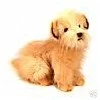 terriers